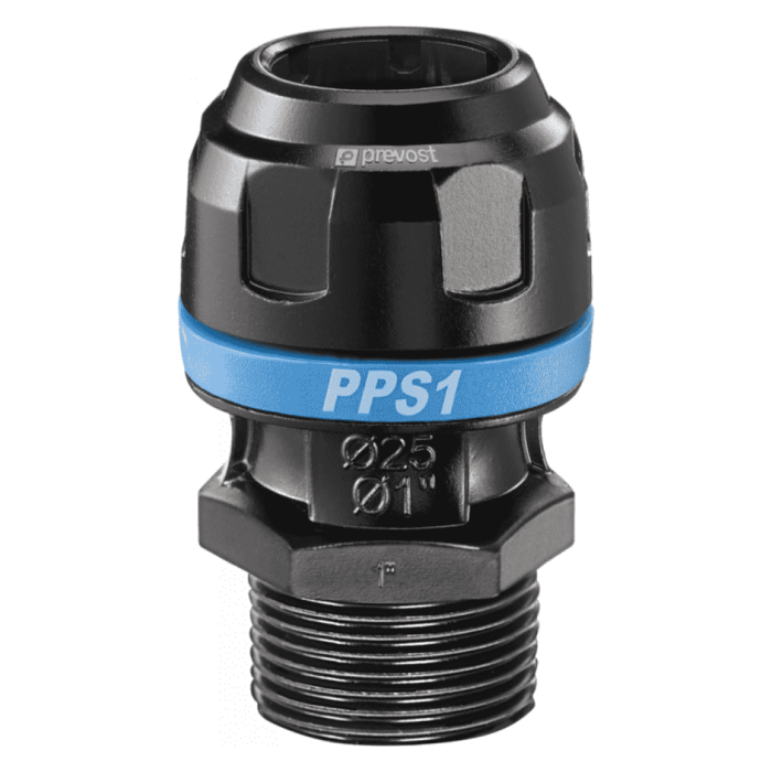 Bspt Male Stud